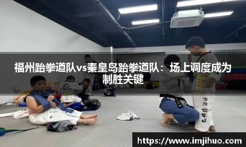 快盈V